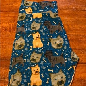 Doggie leggings